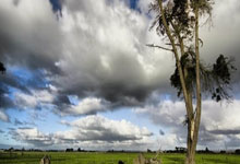 乐鱼app-帕尔马生死72小时！首发大换血引爆保级决战时刻