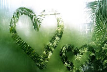 乐鱼体育在线娱乐-今夜金州彻夜无眠！20分惊天逆转撕碎质疑，死亡五小2.0剑指总决