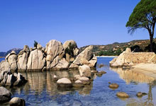 乐鱼体育登陆入口-蓝桥铁血再奏凯歌！切尔西主场制霸延续王座优势